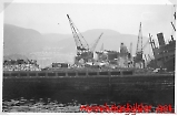 Lw-bormorn_-_029.jpg