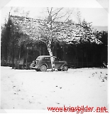 Lw-bormorn_-_069.jpg