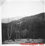 Lw-bormorn_-_070.jpg