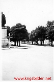 Lvfn127.jpg
