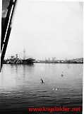 Lvfn157.jpg