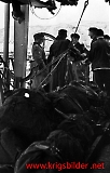 Filename=Nar-007.jpg
Filesize=74KiB
Dimensions=578x900
Date added=Jun 25, 2009 Nar-007.jpg