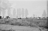 neg-1045.jpg