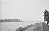 neg-1072.jpg