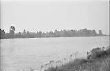 neg-1073.jpg