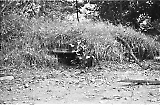 Filename=neg-1076.jpg
Filesize=750KiB
Dimensions=1400x919
Date added=Oct 13, 2024 neg-1076.jpg