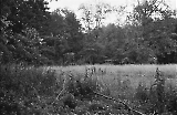 Filename=neg-1077.jpg
Filesize=605KiB
Dimensions=1400x917
Date added=Oct 13, 2024 neg-1077.jpg