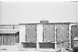 neg-1081.jpg