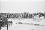 neg-1083.jpg