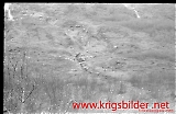 neg-145.jpg
