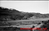 neg-175.jpg