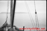 neg-181.jpg