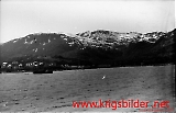 neg-196.jpg