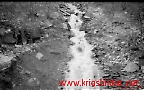 Filename=neg-223.jpg
Filesize=80KiB
Dimensions=750x477
Date added=Jun 19, 2009 neg-223.jpg