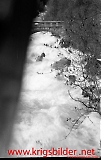 Filename=neg-226.jpg
Filesize=72KiB
Dimensions=477x750
Date added=Jun 19, 2009 neg-226.jpg