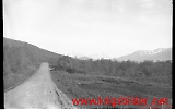 neg-239.jpg