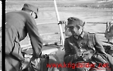 neg-297.jpg