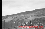 neg-354.jpg