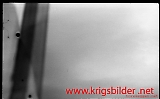 neg-369.jpg