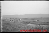 neg-440.jpg