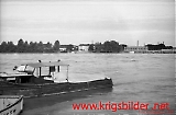 neg-446.jpg