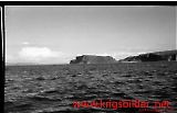 neg-467.jpg