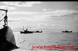 neg-468.jpg