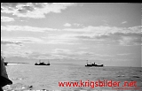 neg-469.jpg