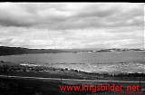 neg-489.jpg