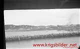 neg-517.jpg