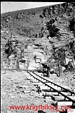 Filename=neg-549.jpg
Filesize=125KiB
Dimensions=505x750
Date added=Jun 19, 2009 neg-549.jpg