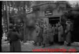 neg-620.jpg