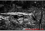 Filename=neg-016.jpg
Filesize=546KiB
Dimensions=1000x698
Date added=Sep 13, 2009 neg-016.jpg