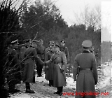 neg-619.jpg