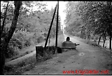 Foret au nord de Strasbourg
