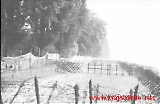 neg-639.jpg