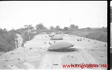 neg-645.jpg