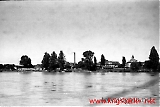 neg-654.jpg