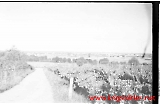 neg-673.jpg