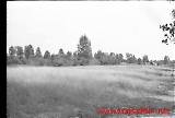 Filename=neg-686.jpg
Filesize=59KiB
Dimensions=1000x677
Date added=Sep 13, 2009 neg-686.jpg