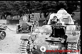 neg-718.jpg