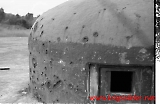 neg-726.jpg