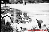 neg-730.jpg