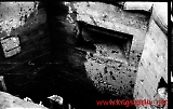 Filename=neg-776.jpg
Filesize=86KiB
Dimensions=1000x636
Date added=Sep 13, 2009 neg-776.jpg