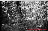 Filename=neg-842.jpg
Filesize=158KiB
Dimensions=1000x652
Date added=Sep 13, 2009 neg-842.jpg