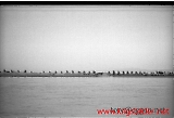 neg-875.jpg