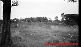 neg-890.jpg