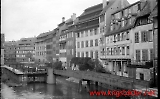 neg-943.jpg
