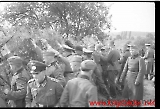neg-956.jpg