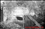 neg-972.jpg